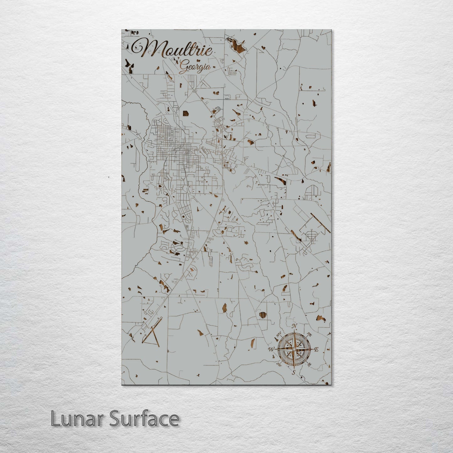 Moultrie, Georgia Street Map