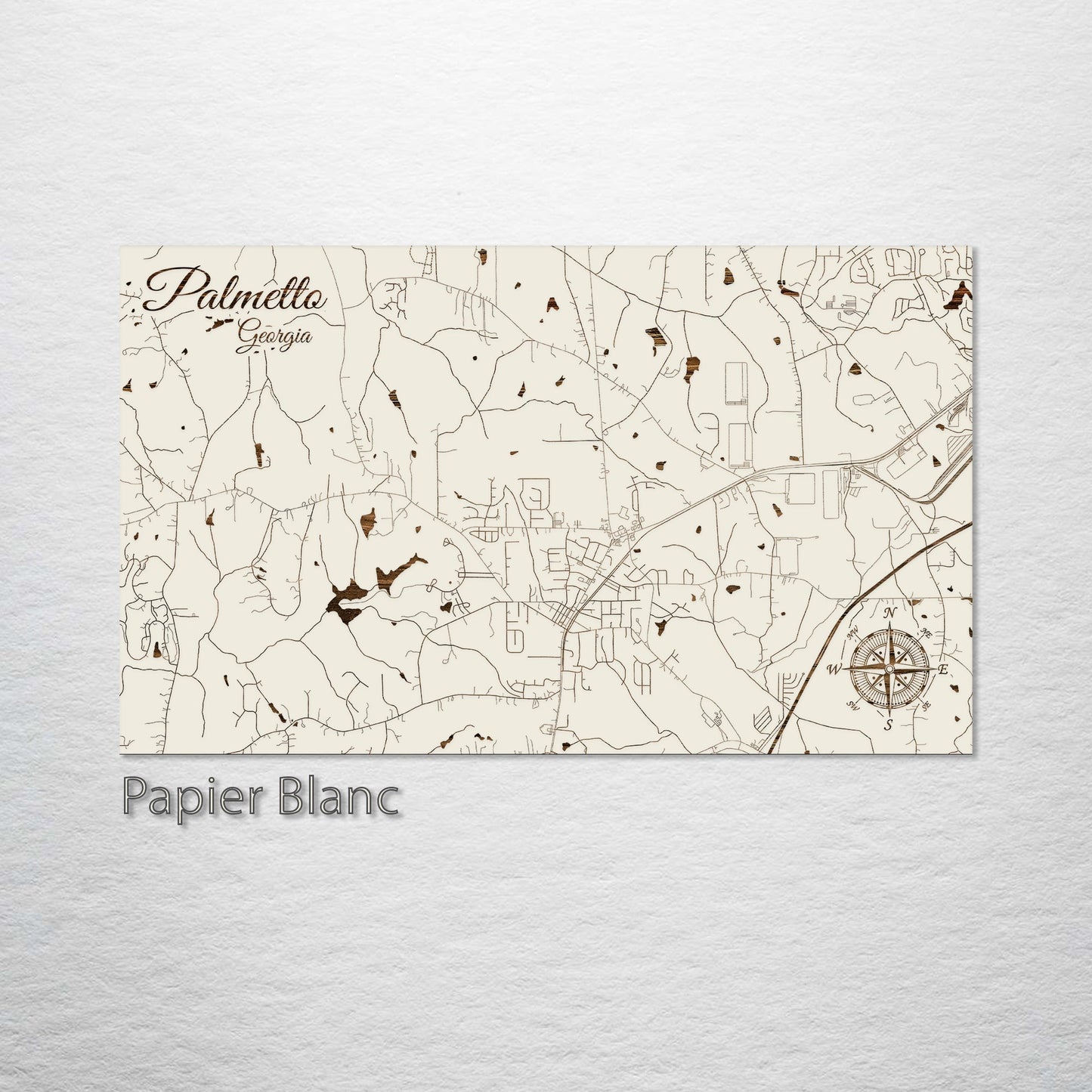 Palmetto, Georgia Street Map