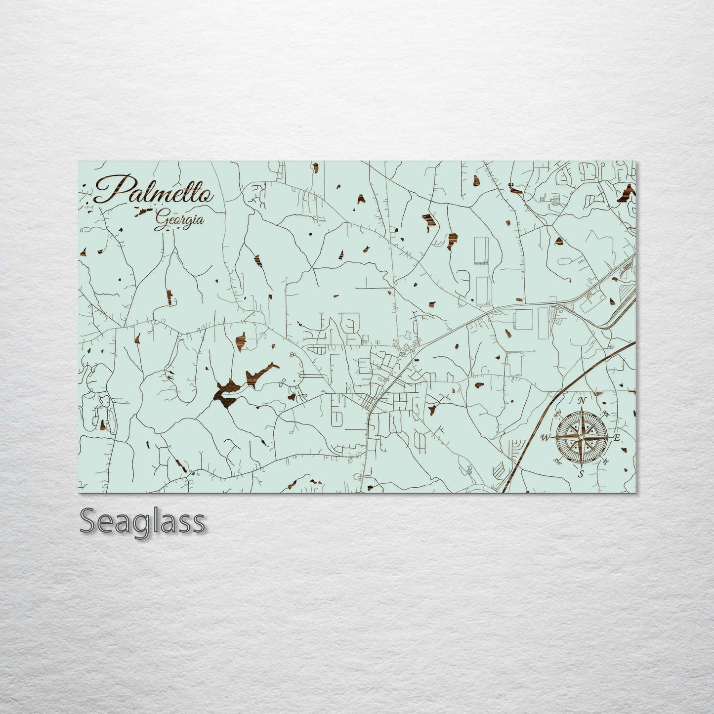 Palmetto, Georgia Street Map