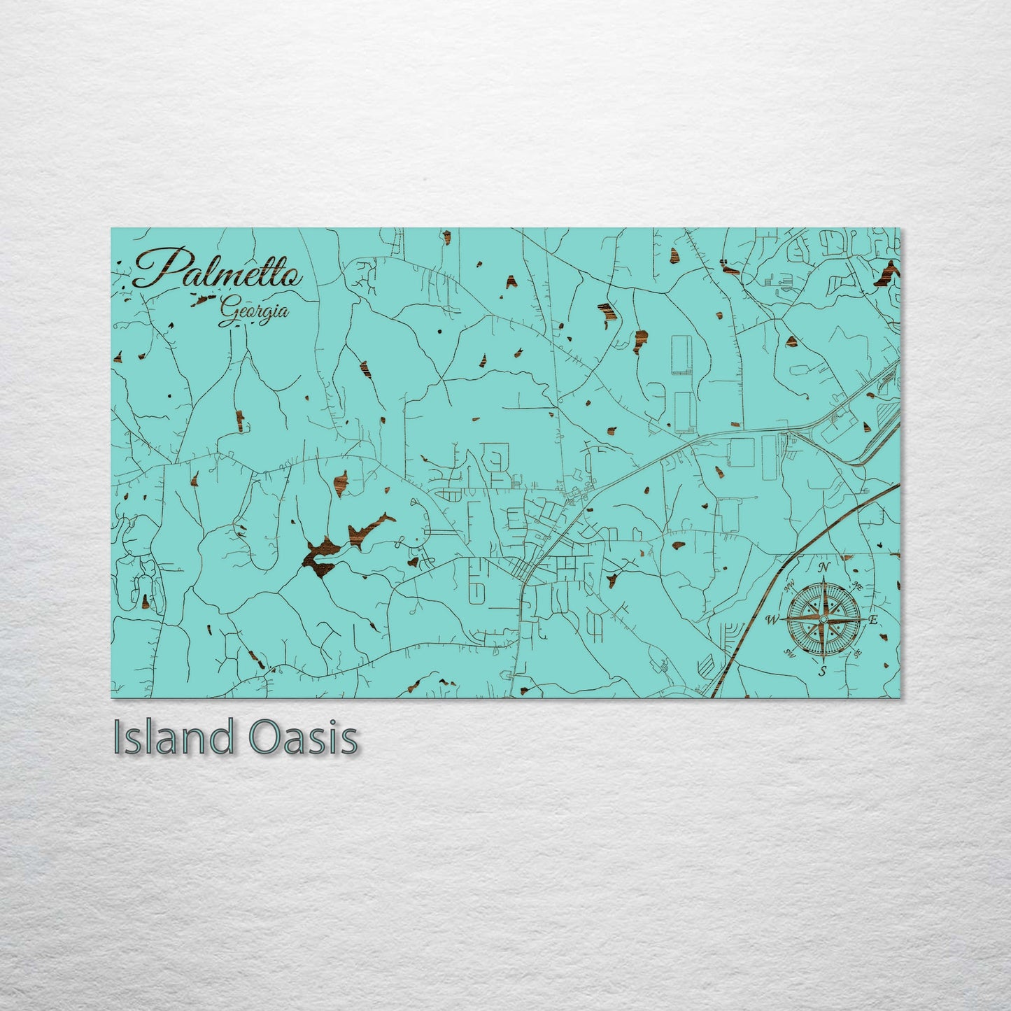 Palmetto, Georgia Street Map