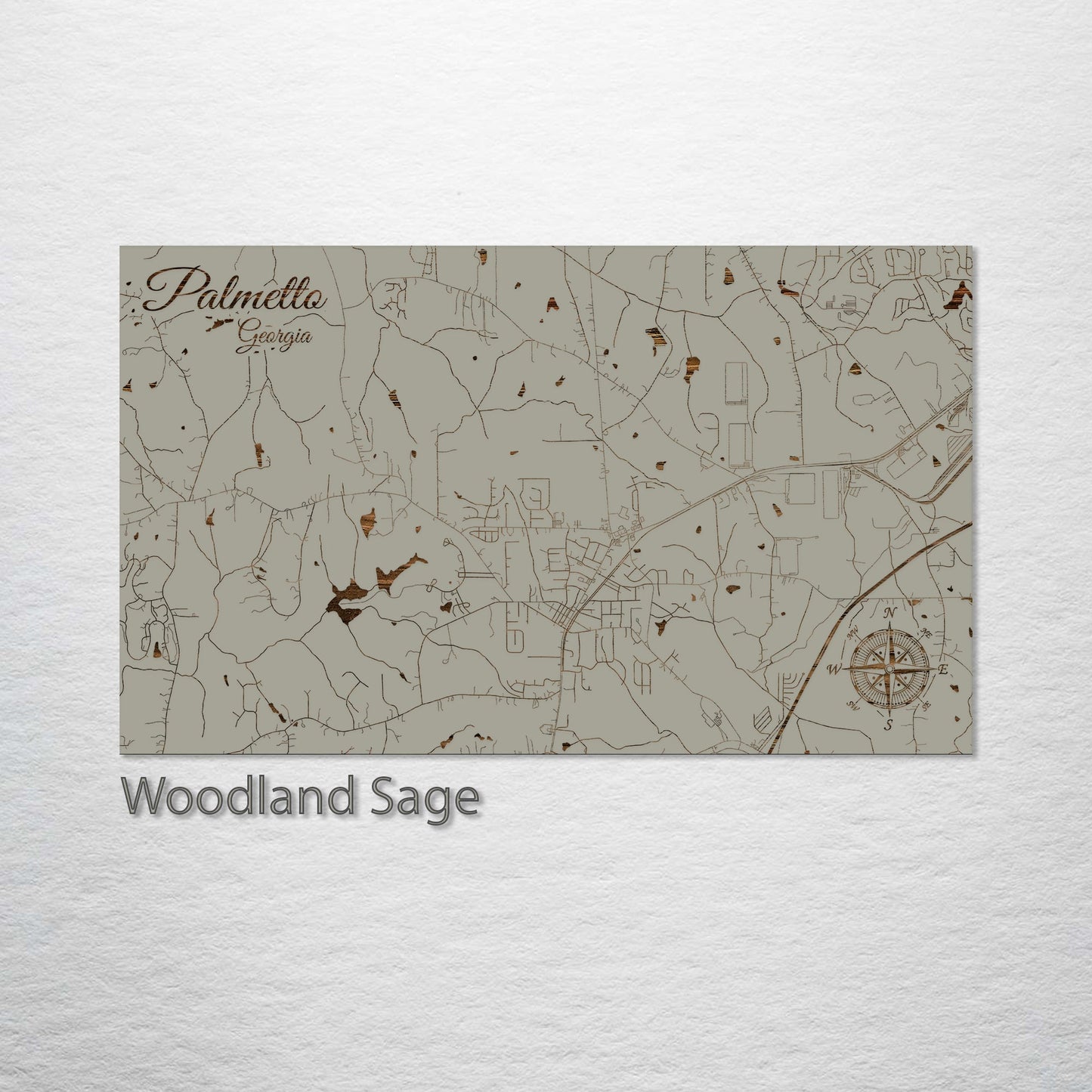 Palmetto, Georgia Street Map