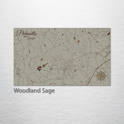 Palmetto, Georgia Street Map