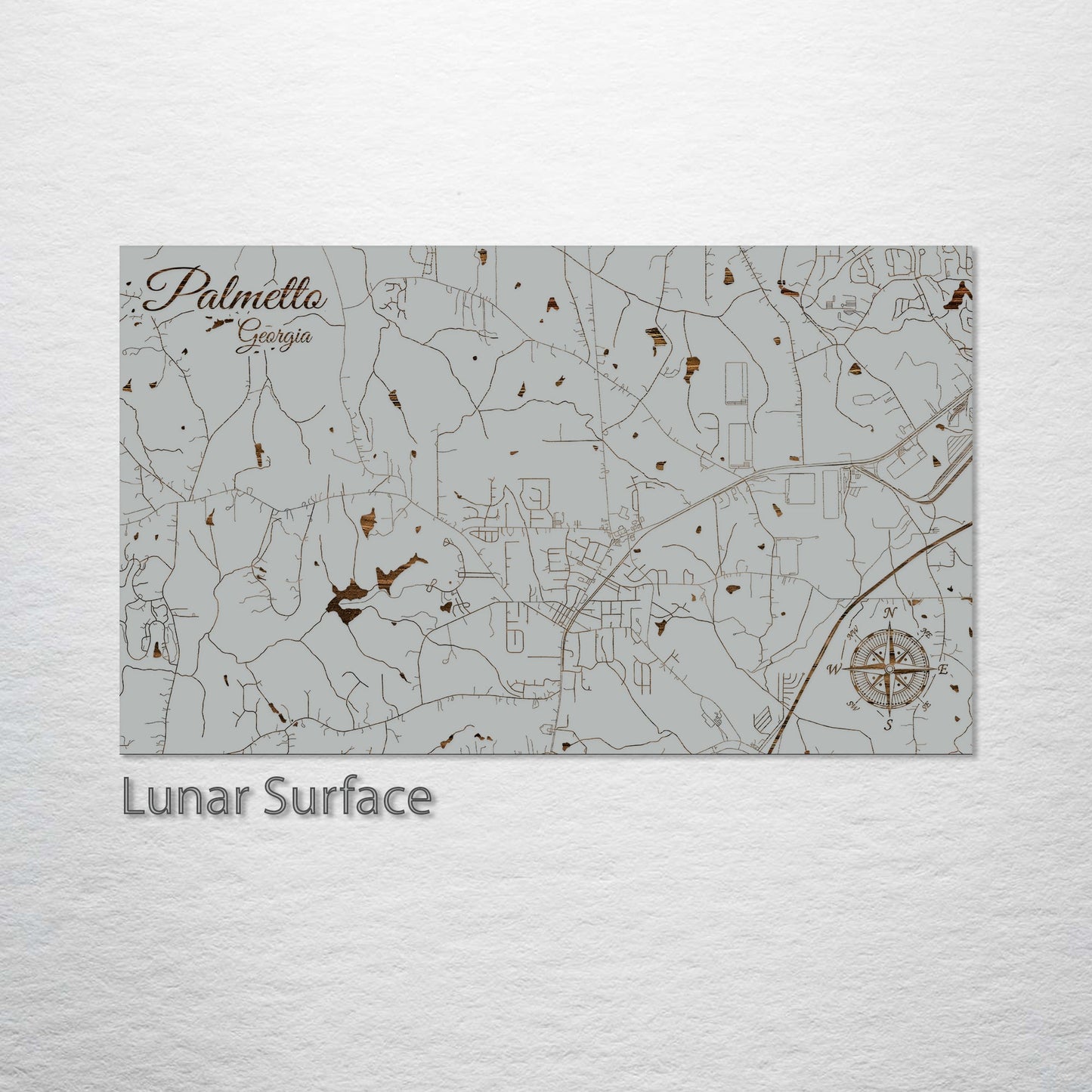 Palmetto, Georgia Street Map