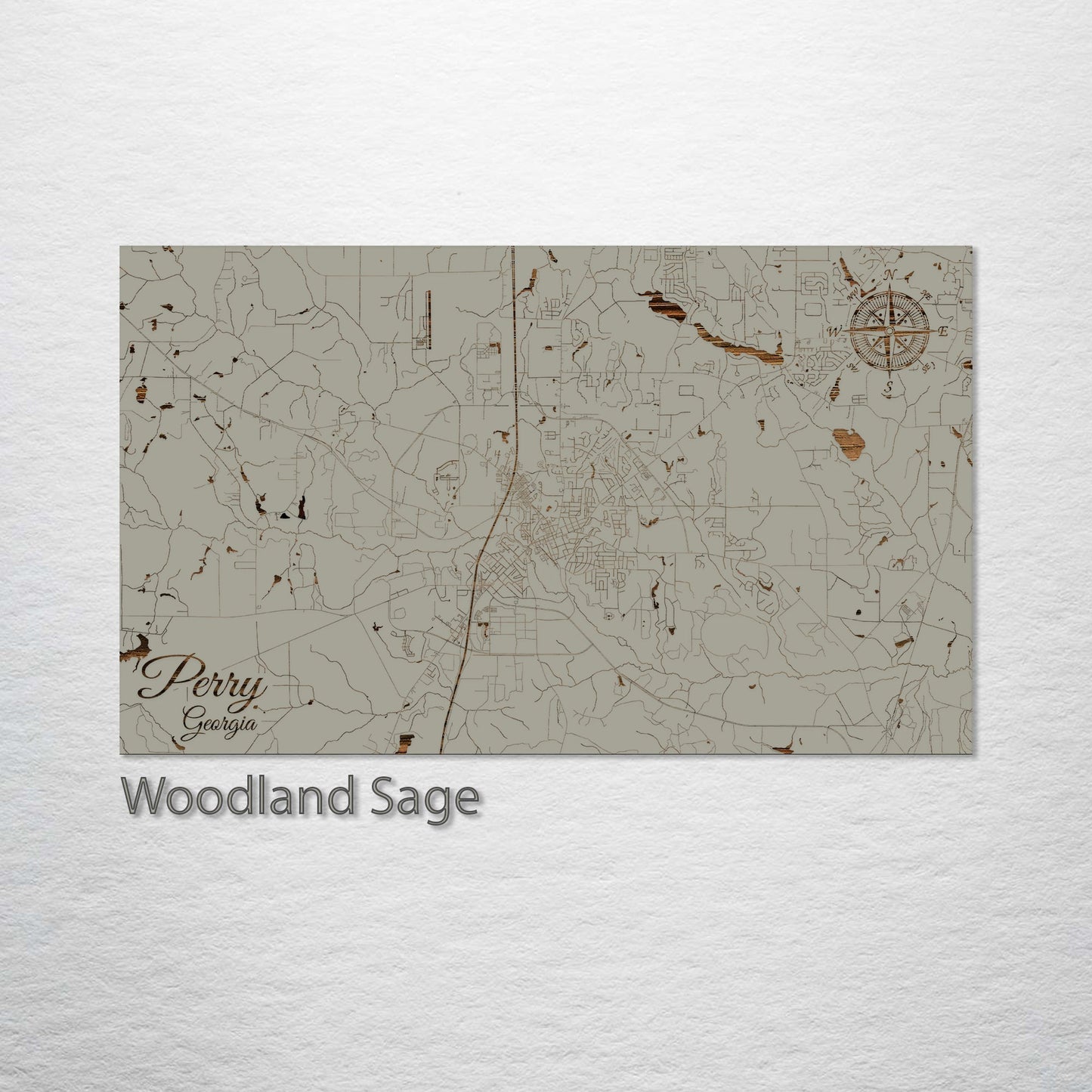 Perry, Georgia Street Map