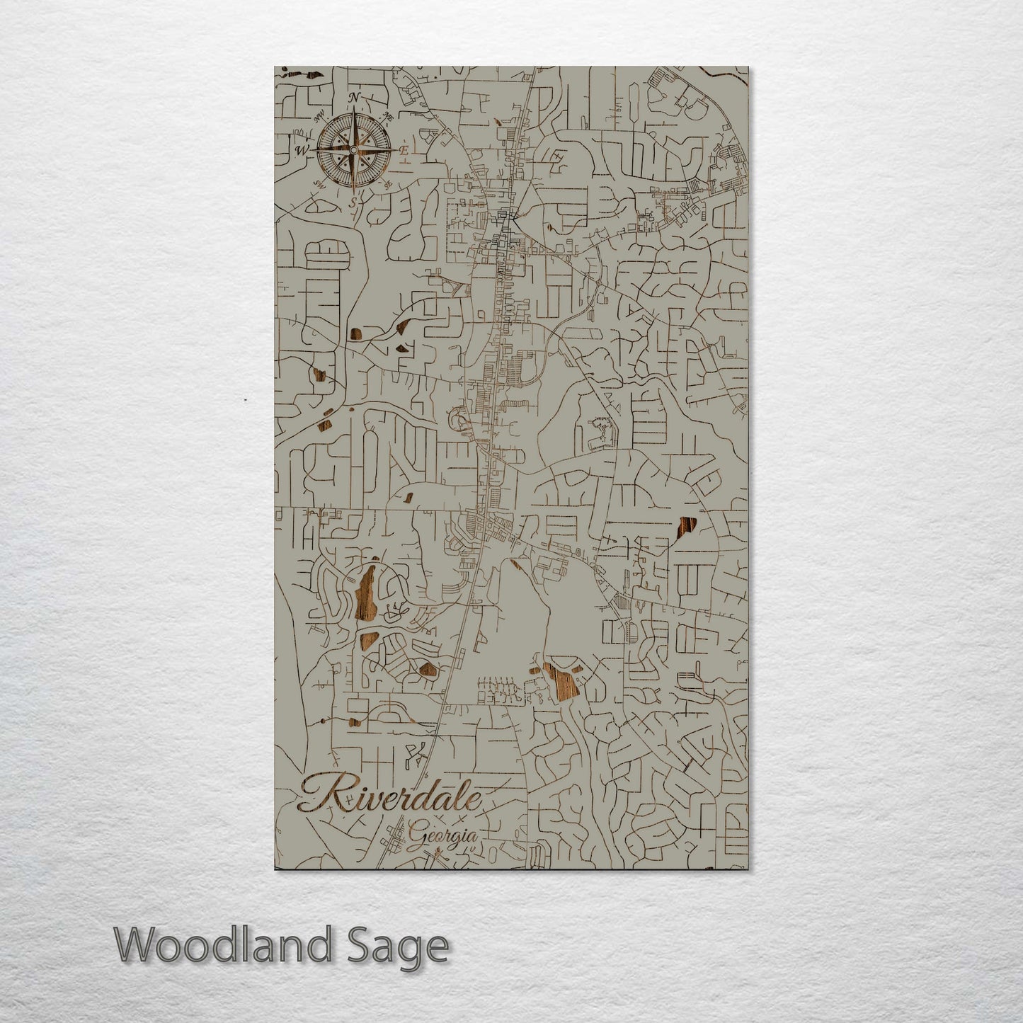 Riverdale, Georgia Street Map