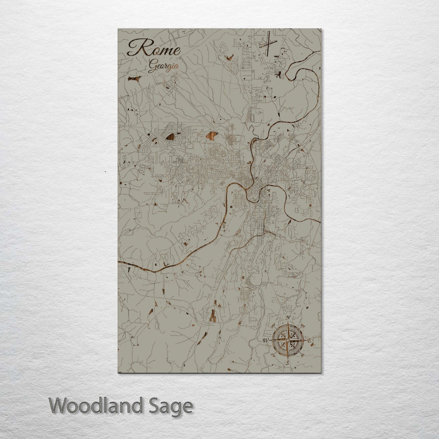 Rome, Georgia Street Map