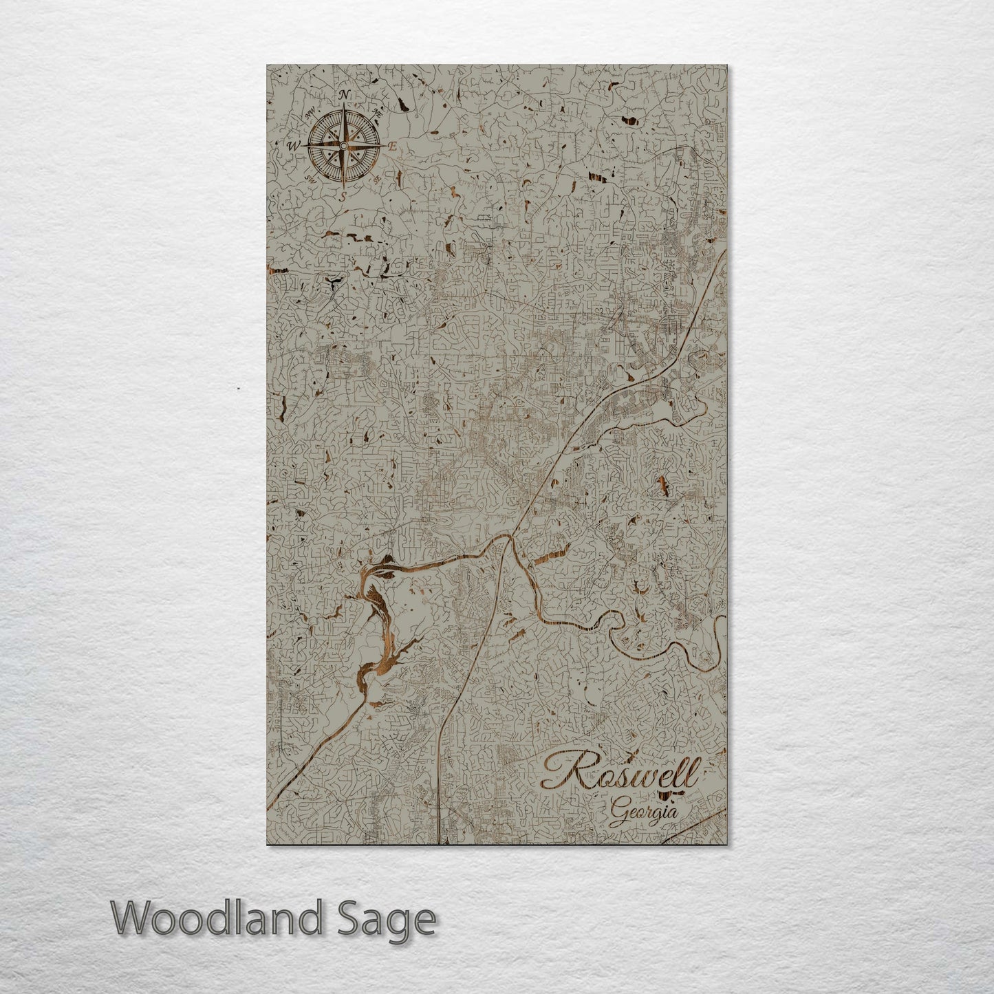 Roswell, Georgia Street Map