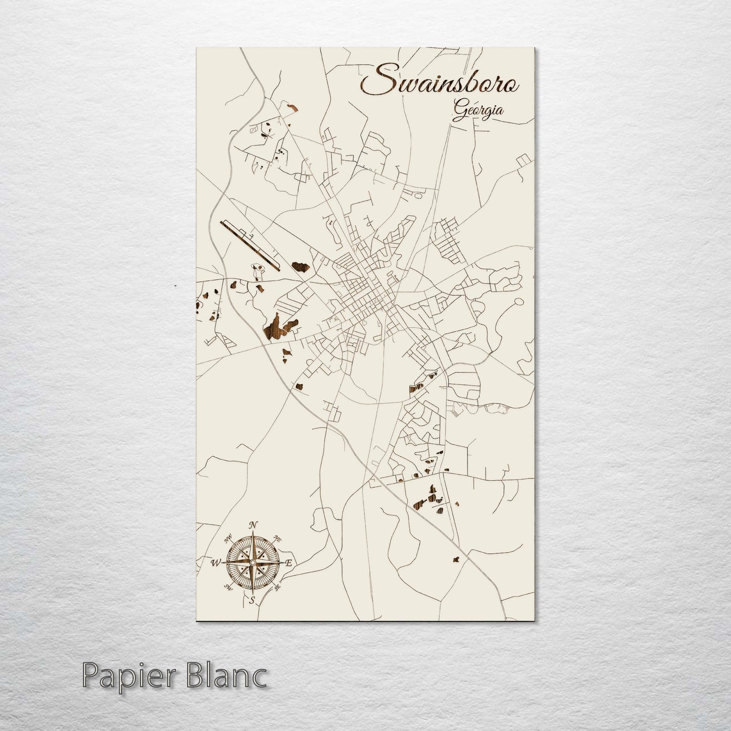 Swainsboro, Georgia Street Map