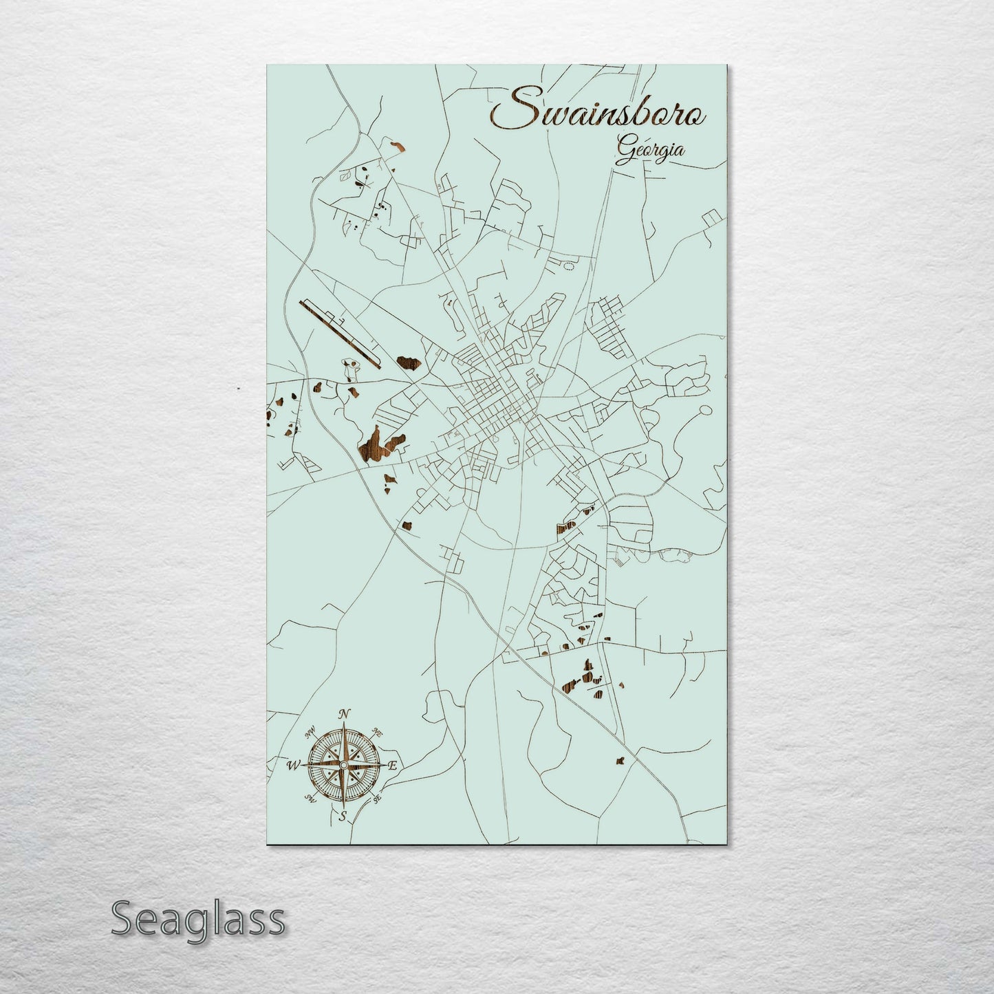Swainsboro, Georgia Street Map