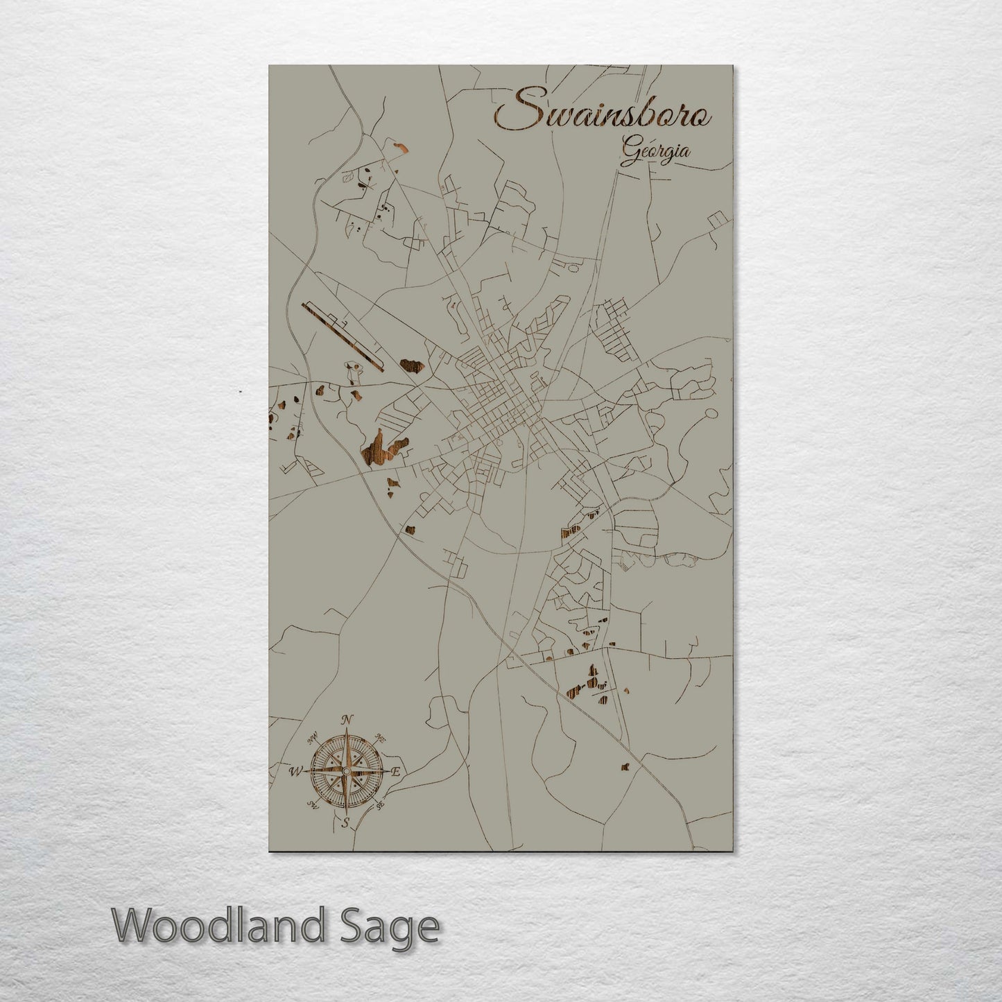 Swainsboro, Georgia Street Map