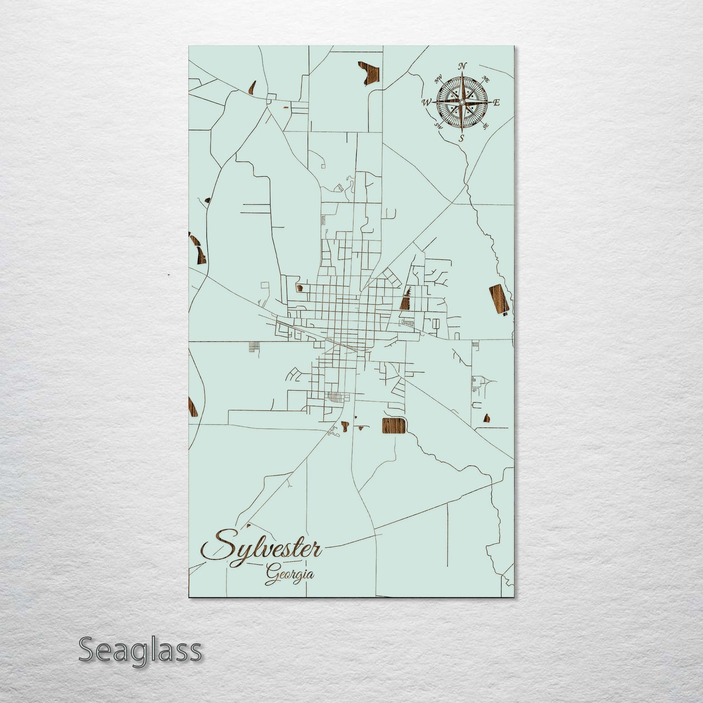Sylvester, Georgia Street Map