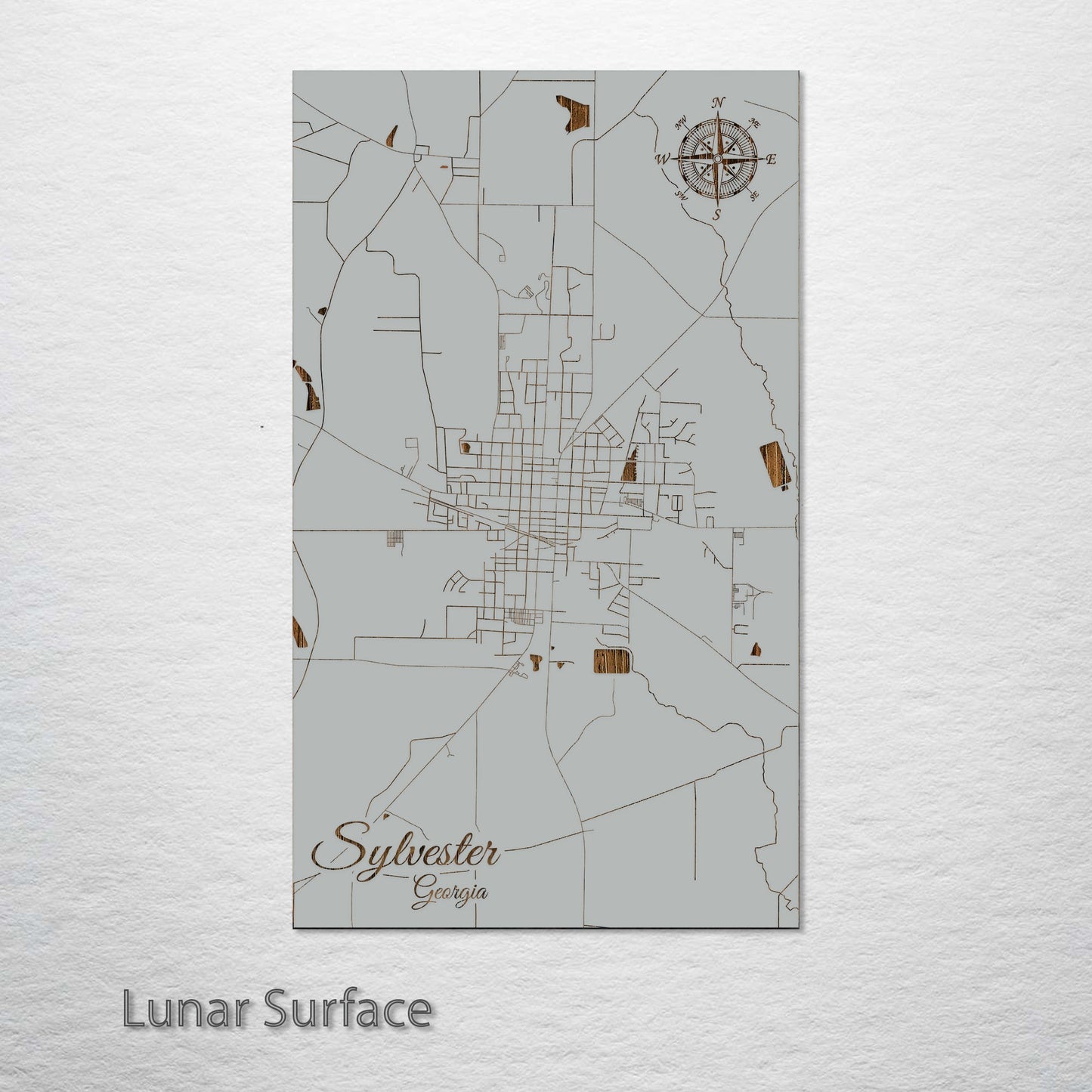 Sylvester, Georgia Street Map
