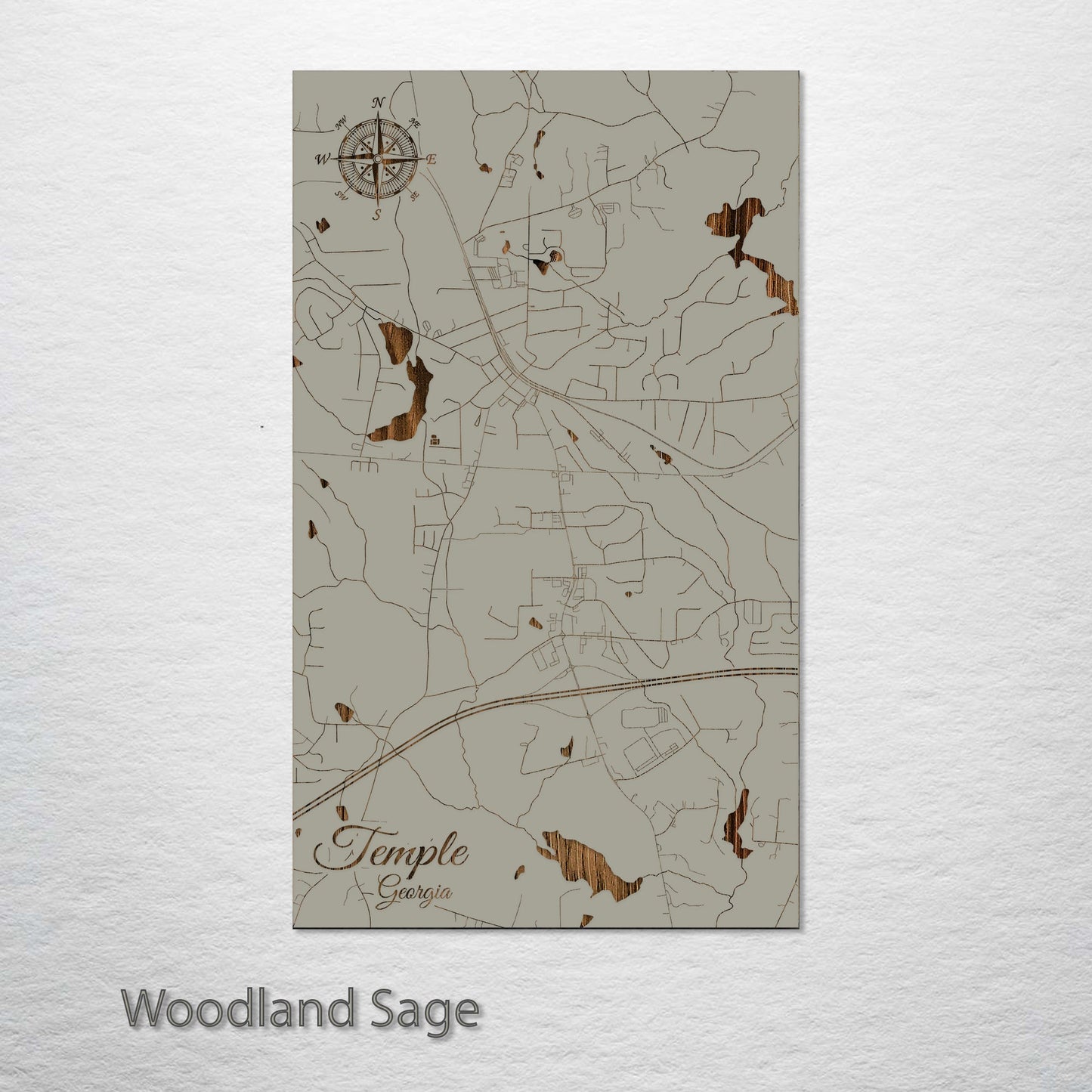 Temple, Georgia Street Map