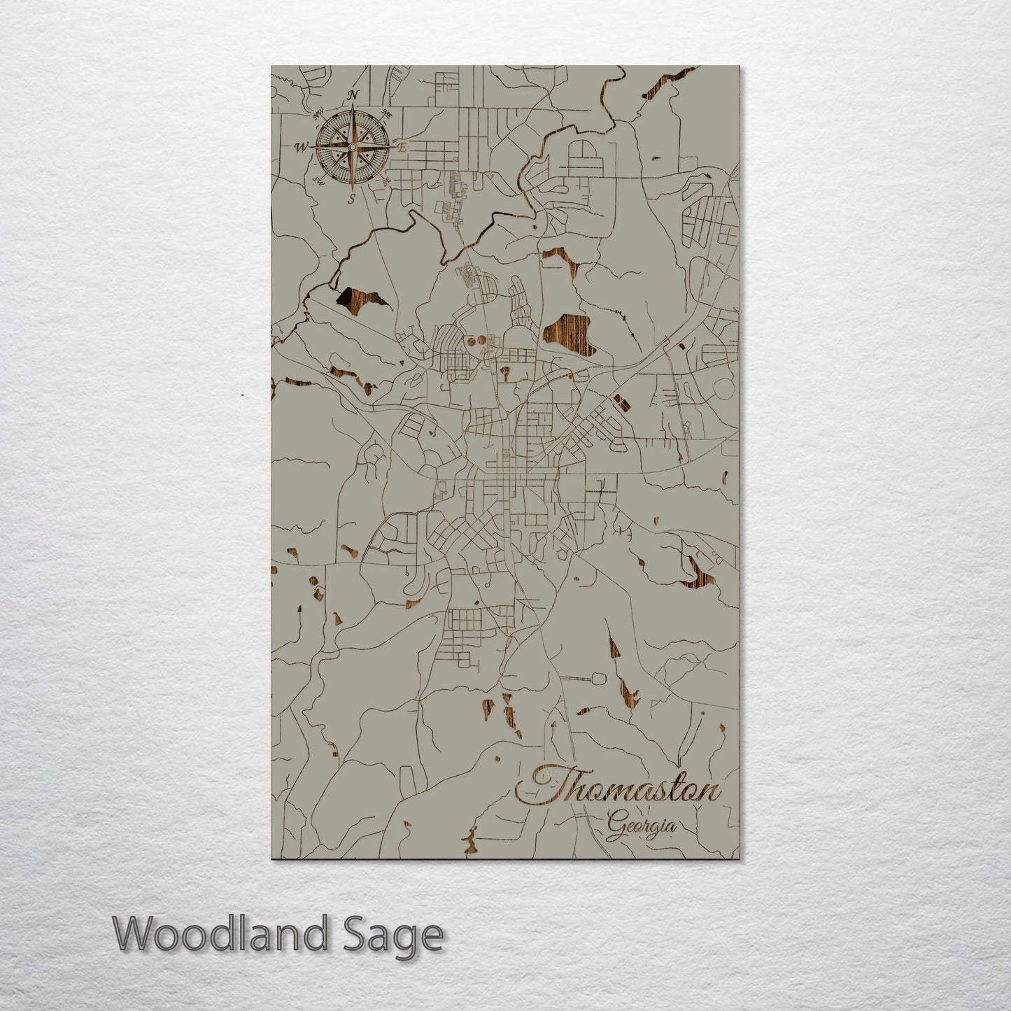 Thomaston, Georgia Street Map