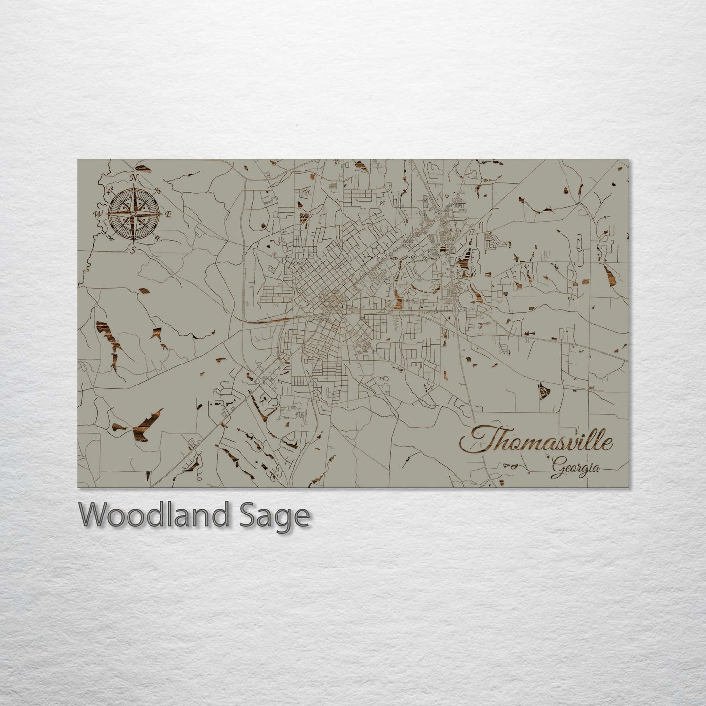 Thomasville, Georgia Street Map