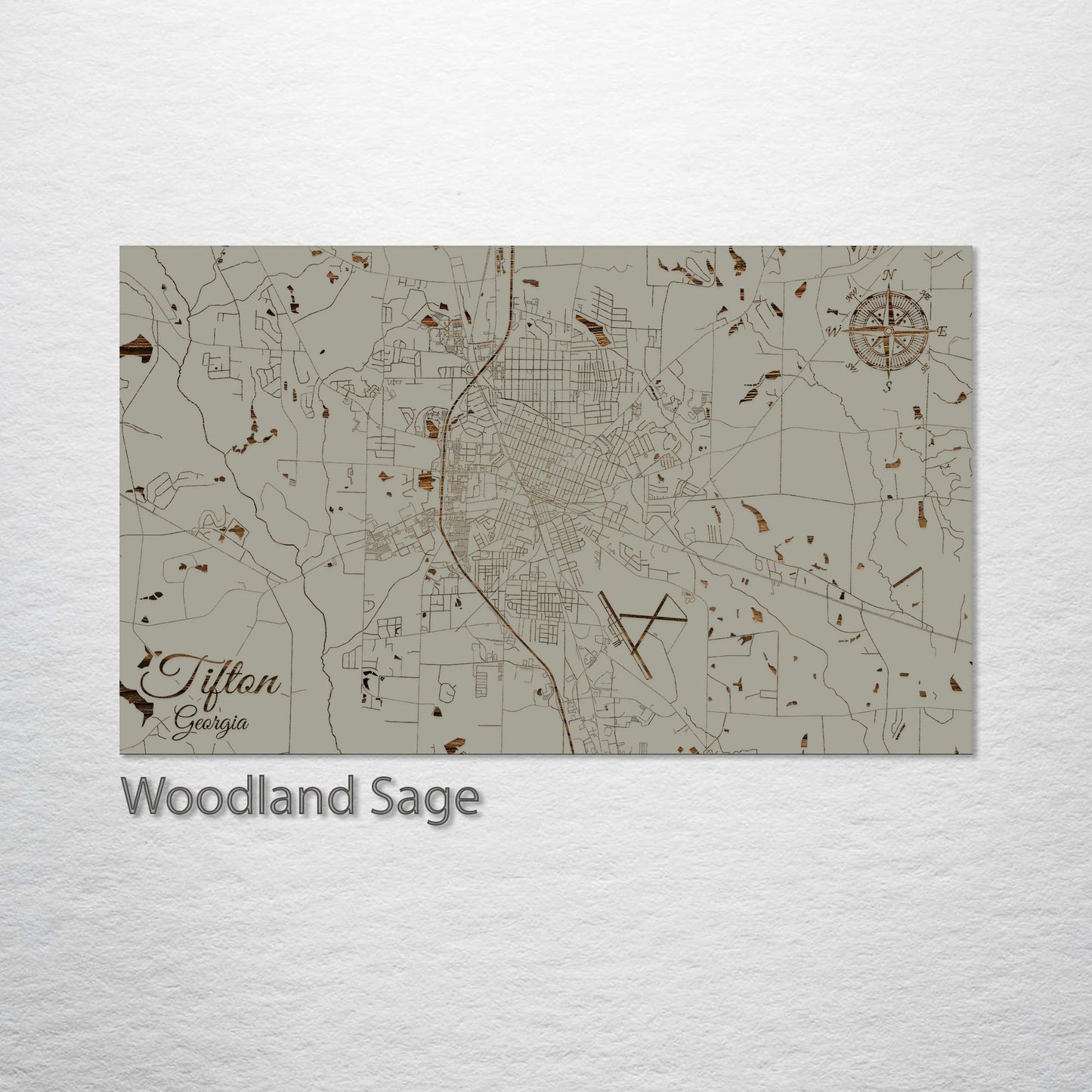 Tifton, Georgia Street Map