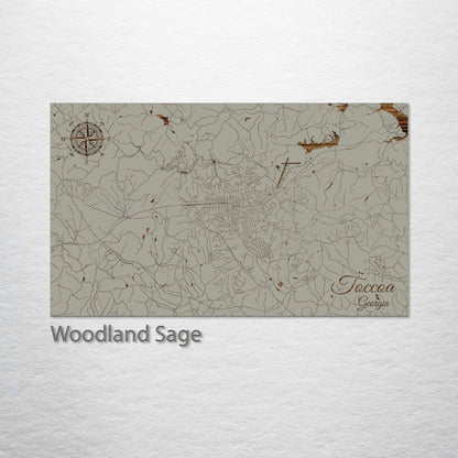 Toccoa, Georgia Street Map