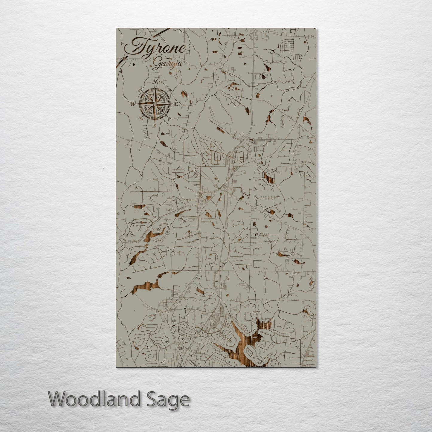 Tyrone, Georgia Street Map