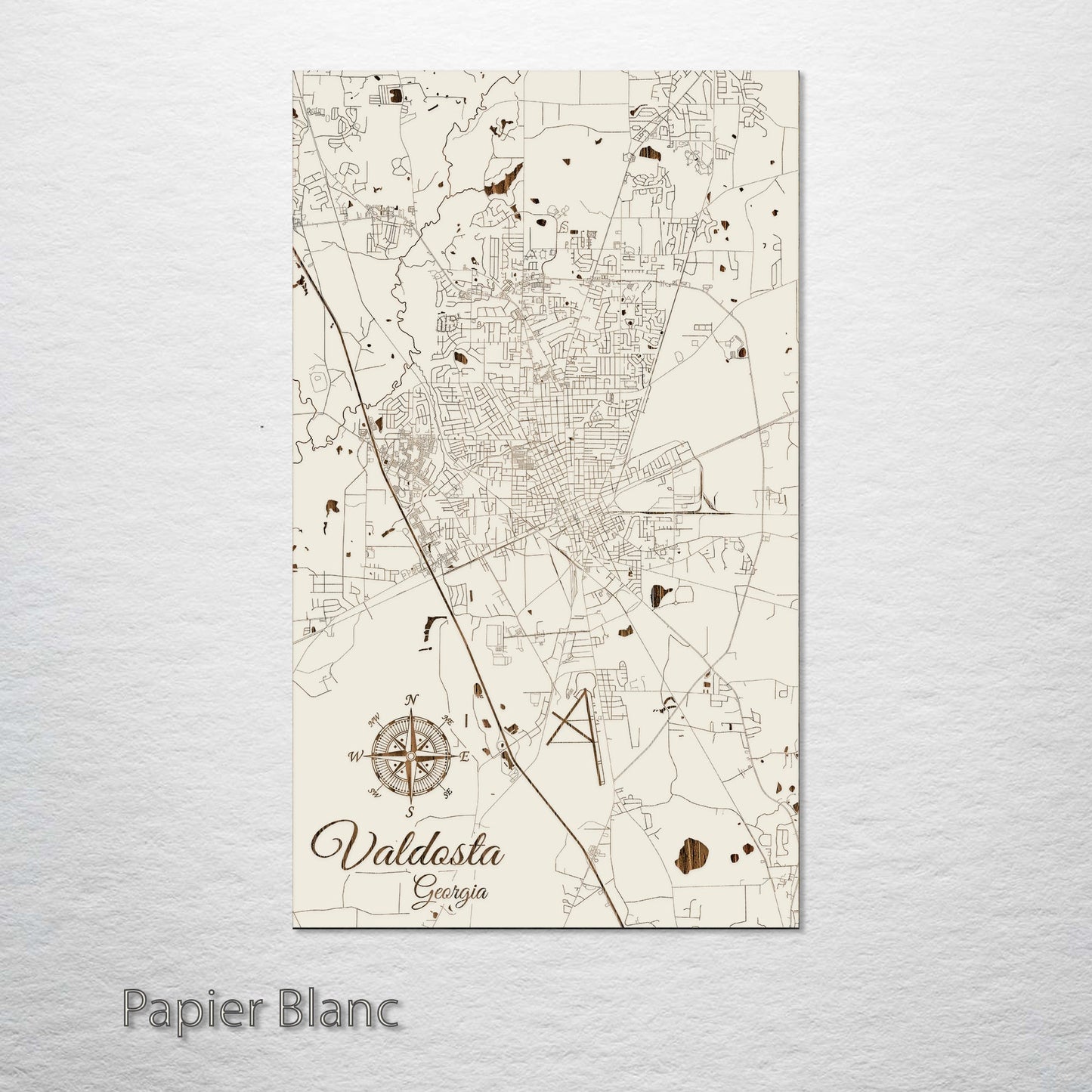 Valdosta, Georgia Street Map