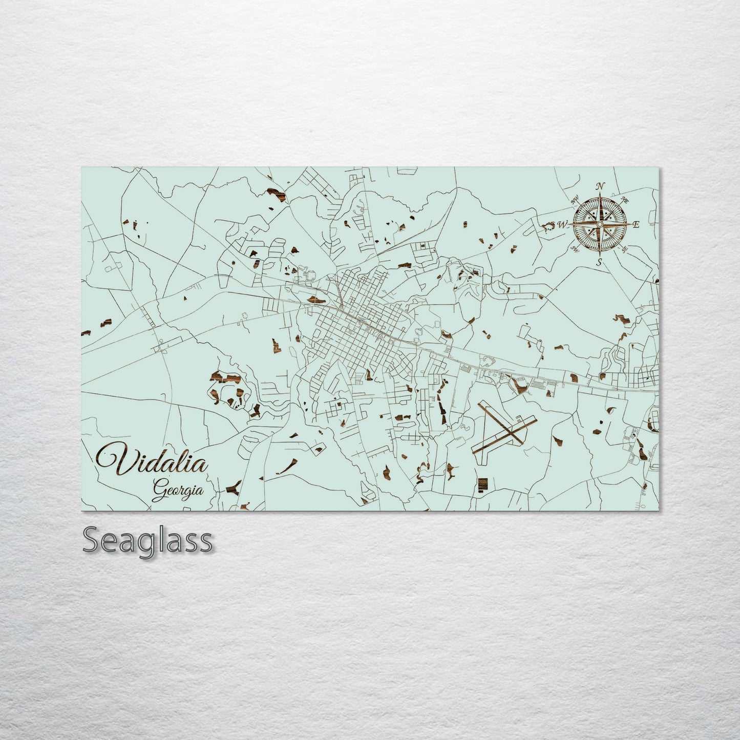 Vidalia, Georgia Street Map
