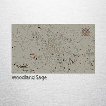 Vidalia, Georgia Street Map