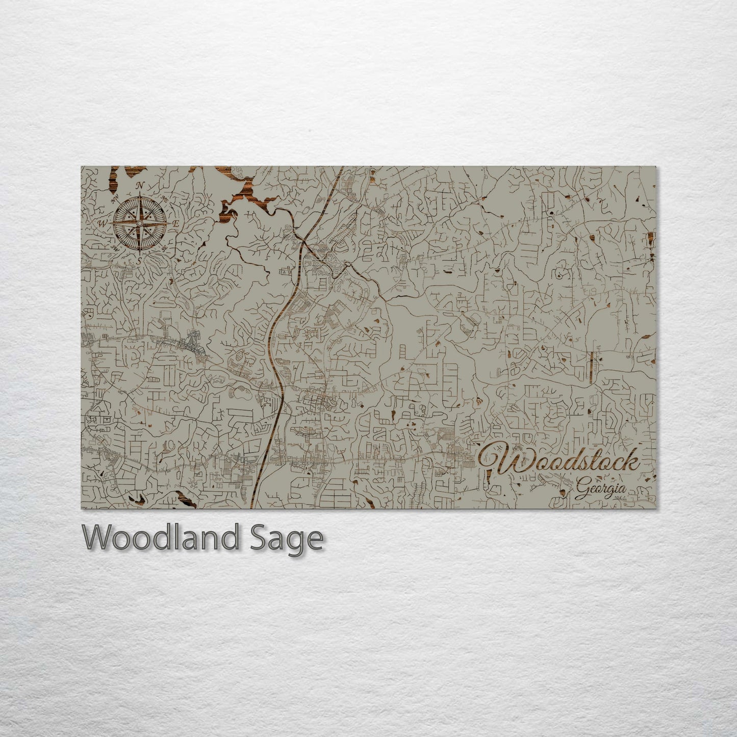 Woodstock, Georgia Street Map