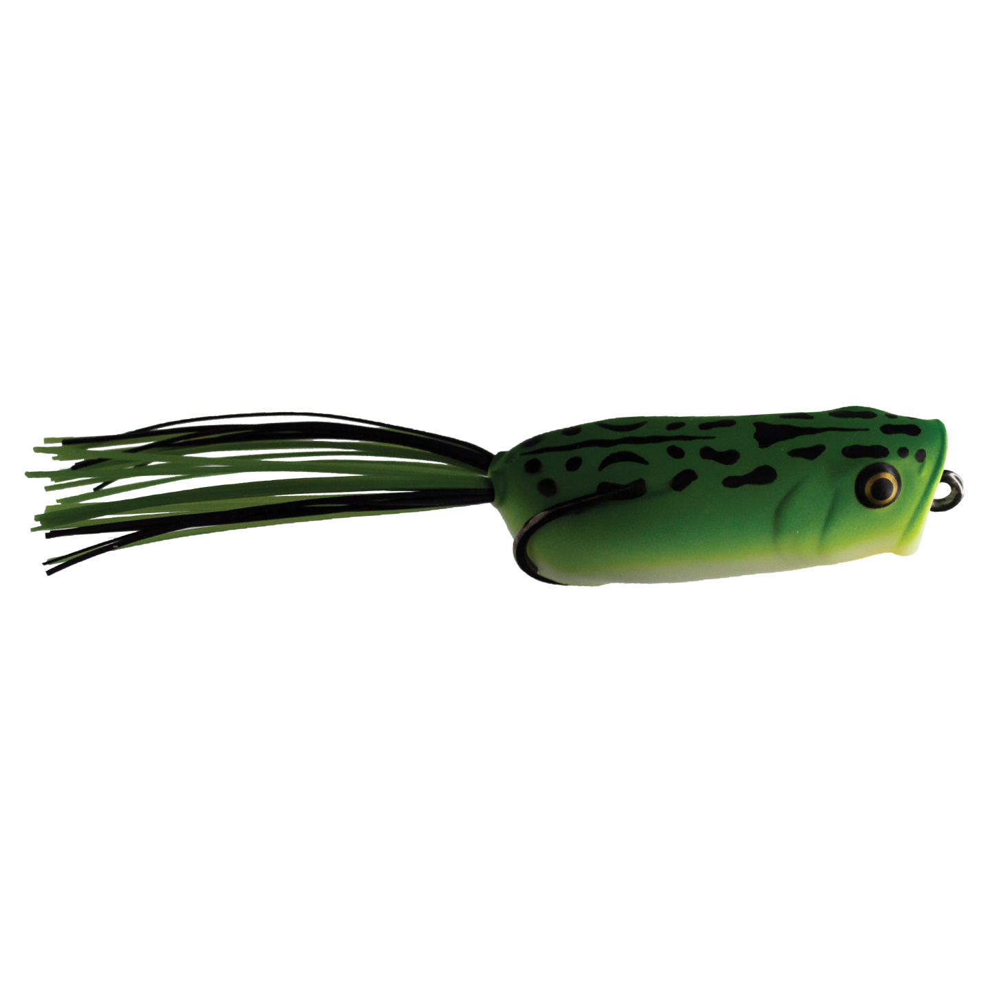 Green Frog - Thumper Jr.