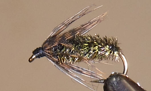 Soft Hackle Grouse