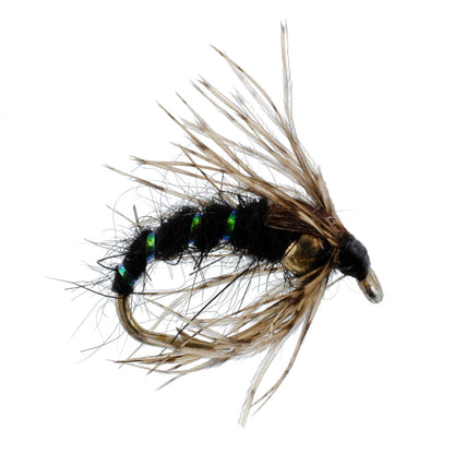 Black Holy Grail Caddis Pupa Emerger 12 Flies Hook Size 14