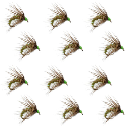 Olive Holy Grail Caddis Pupa Emerger 12 Flies Hook Size 16