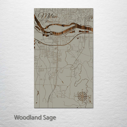 Milan, Illinois Street Map