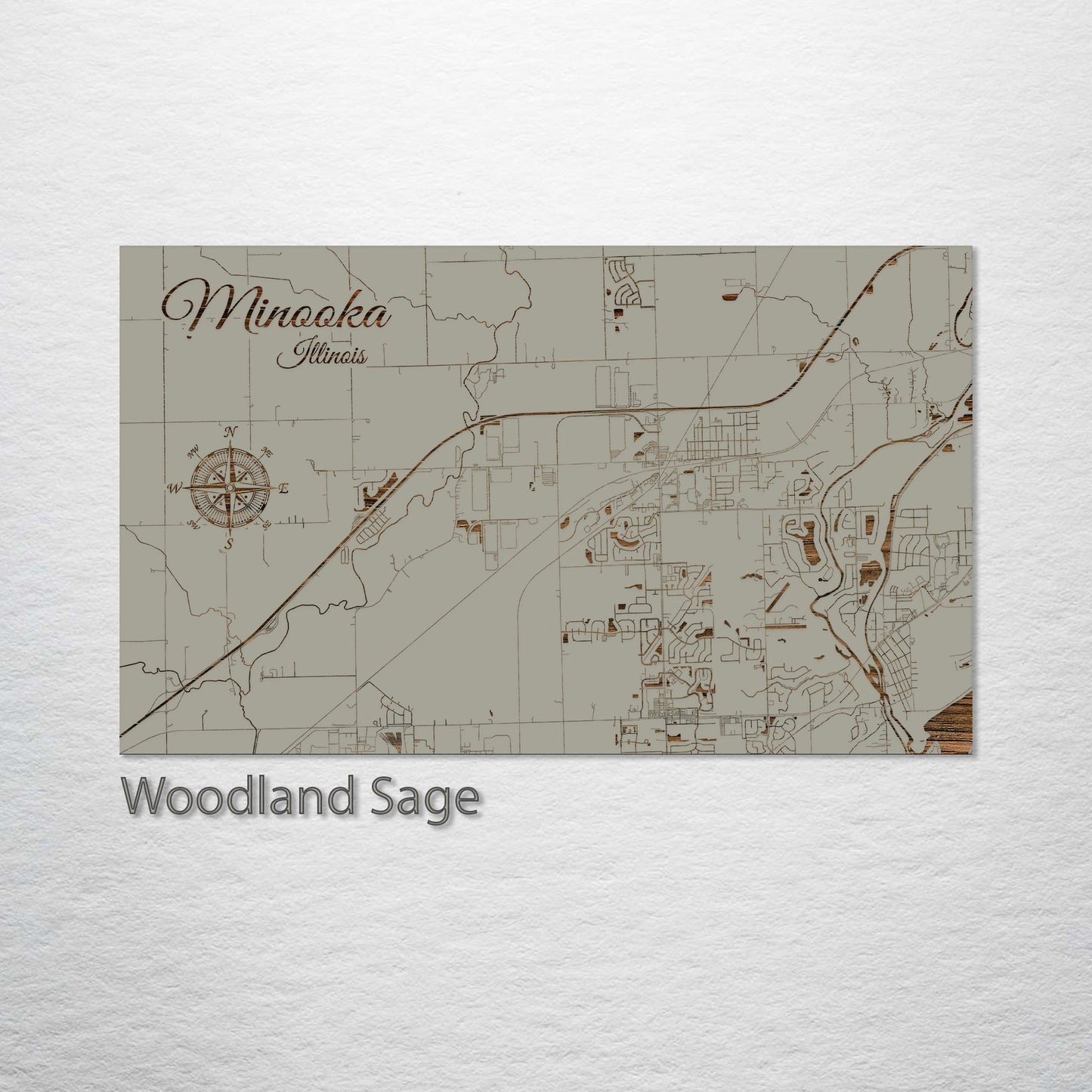 Minooka, Illinois Street Map