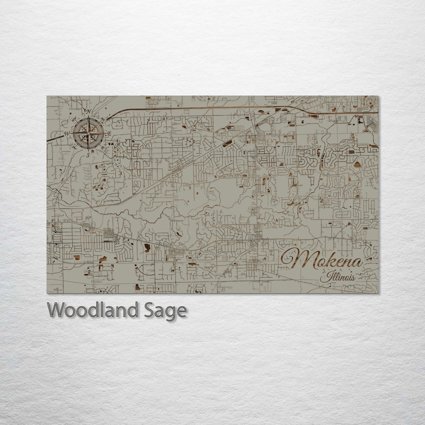 Mokena, Illinois Street Map