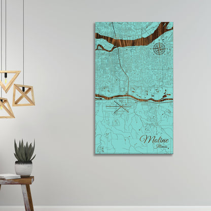 Moline, Illinois Street Map