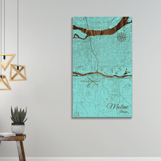 Moline, Illinois Street Map