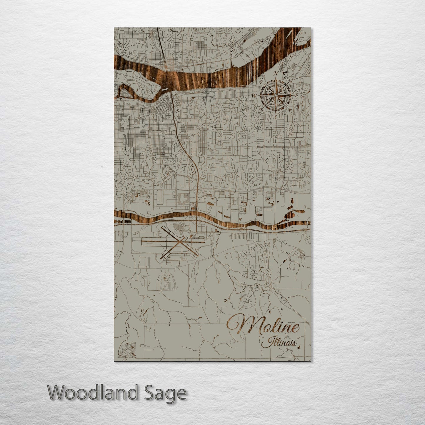 Moline, Illinois Street Map