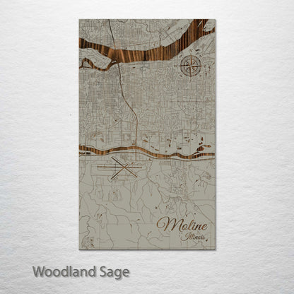 Moline, Illinois Street Map