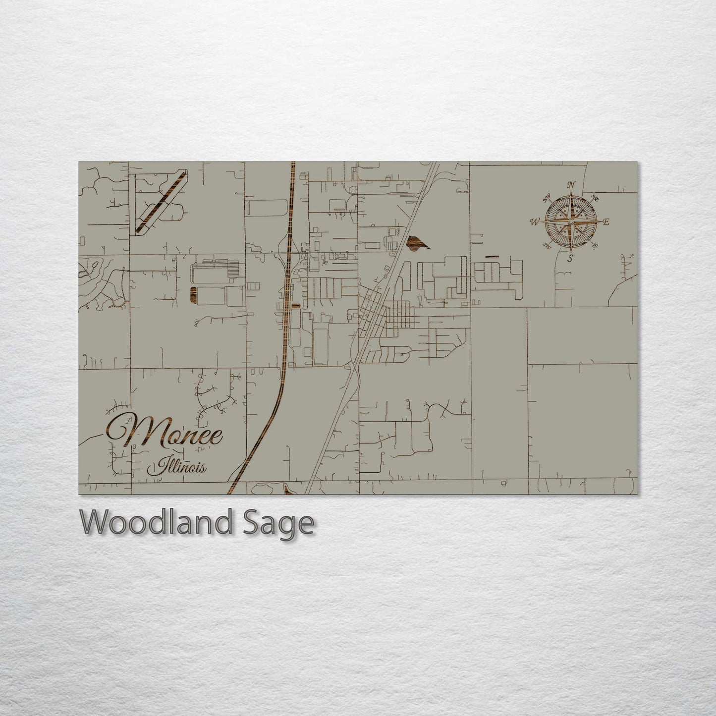 Monee, Illinois Street Map