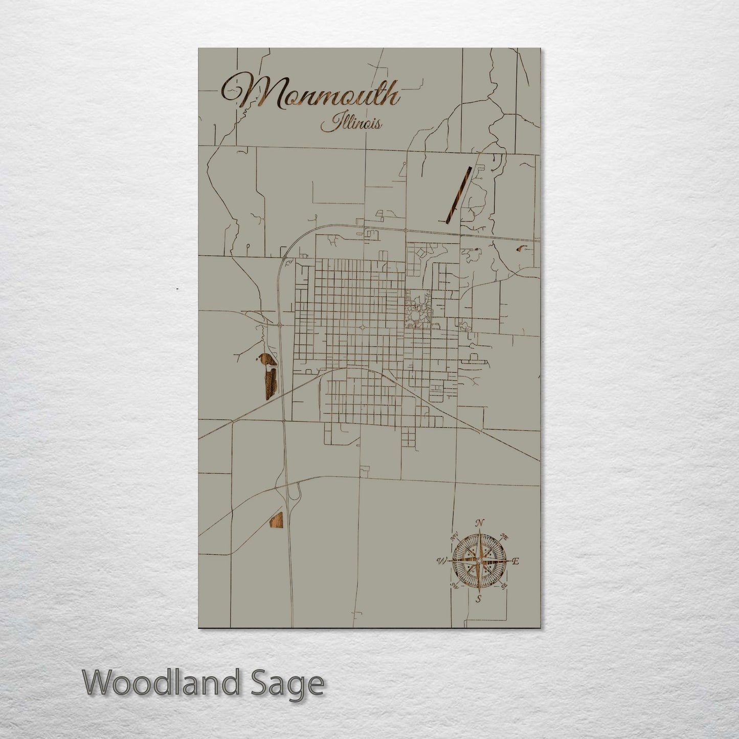 Monmouth, Illinois Street Map