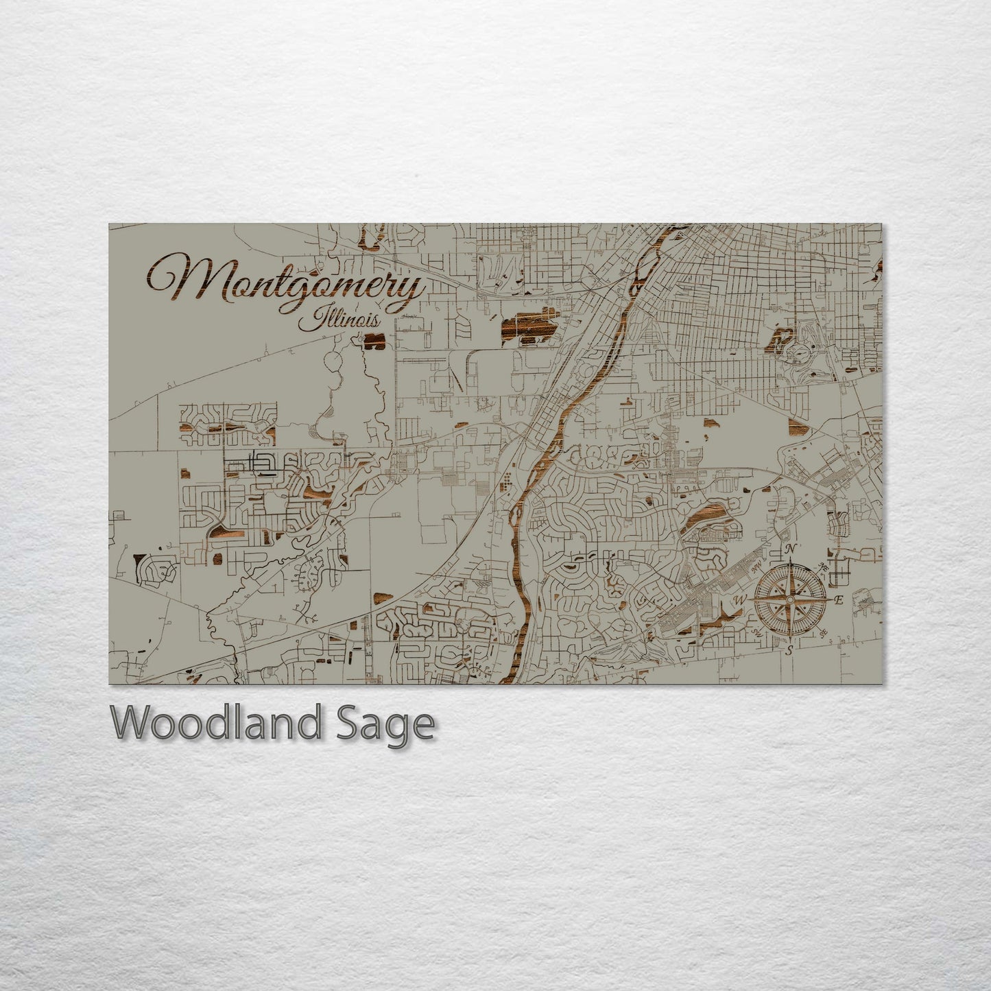 Montgomery, Illinois Street Map