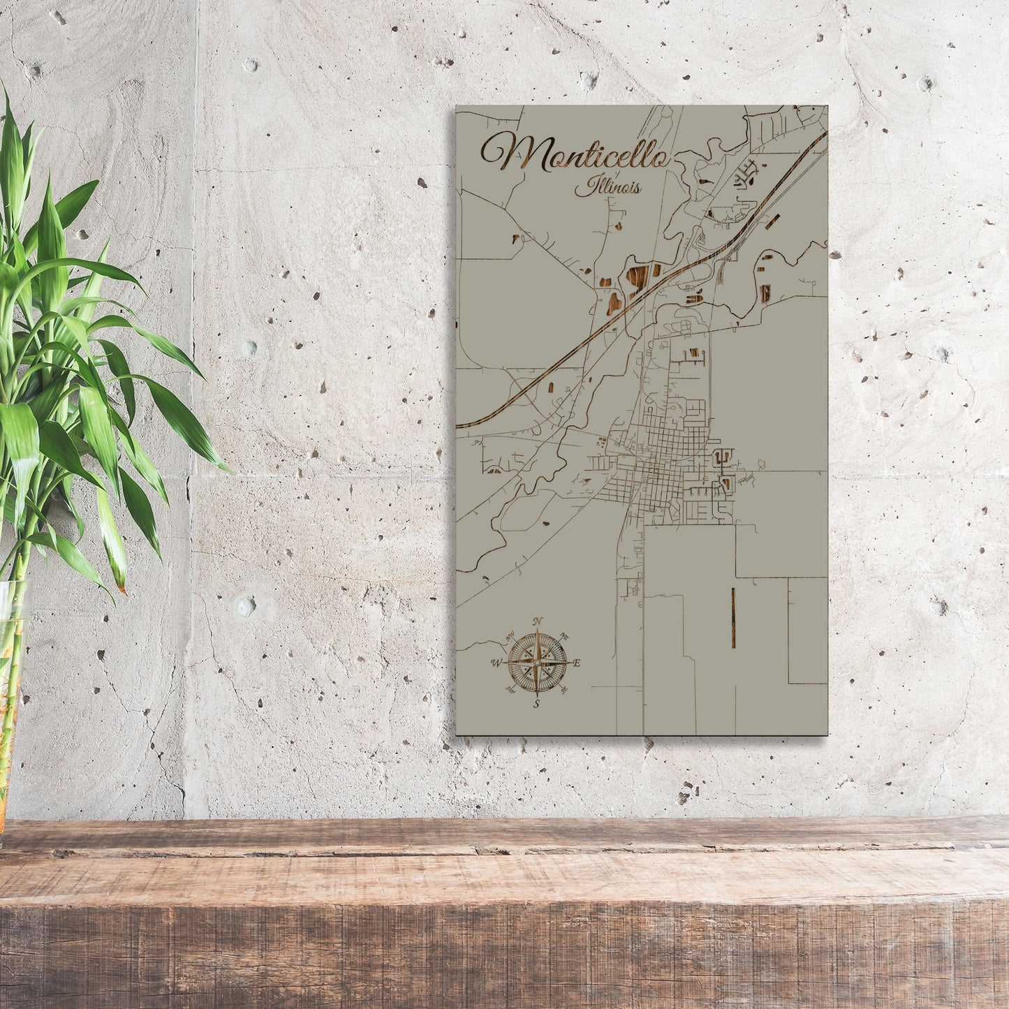 Monticello, Illinois Street Map