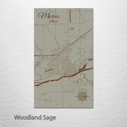 Morris, Illinois Street Map