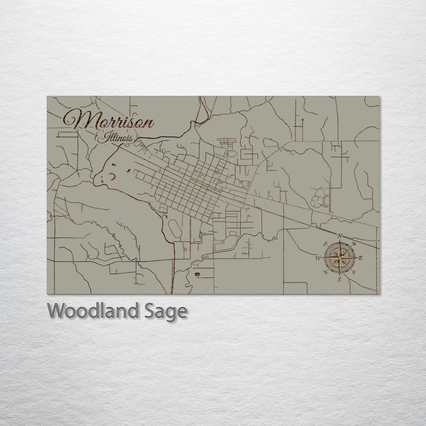 Morrison, Illinois Street Map