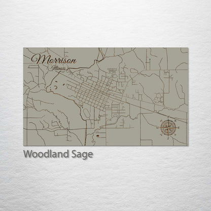 Morrison, Illinois Street Map