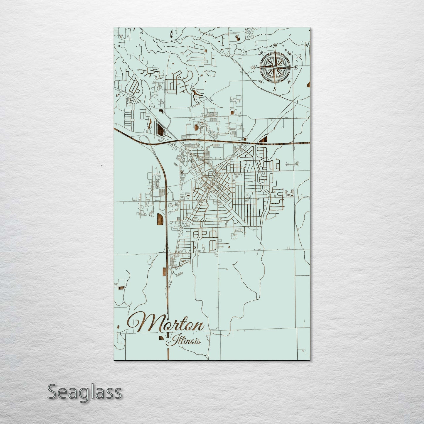 Morton, Illinois Street Map
