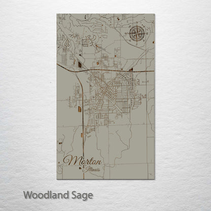 Morton, Illinois Street Map