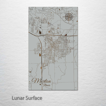 Morton, Illinois Street Map