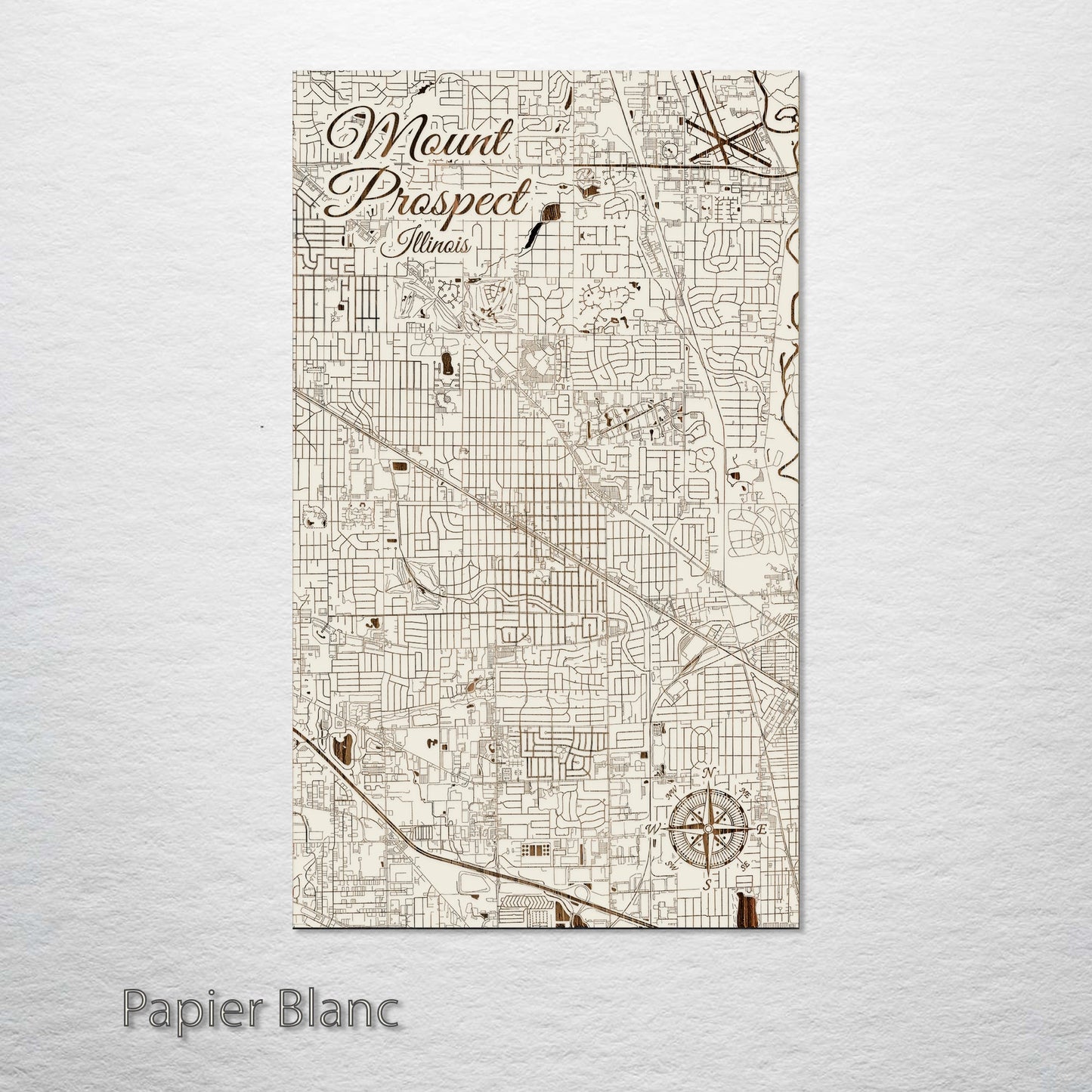 Mount Prospect, Illinois Street Map