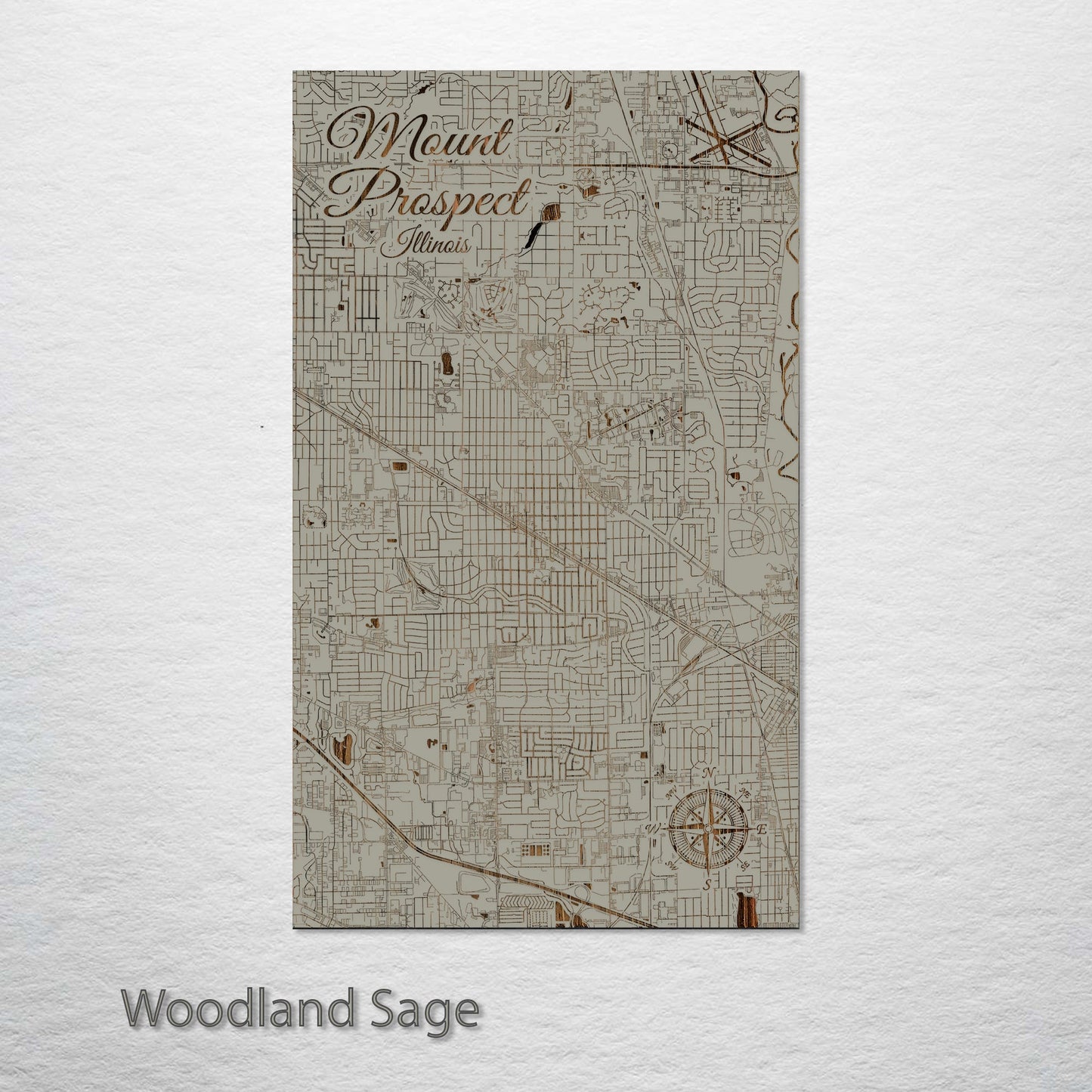 Mount Prospect, Illinois Street Map