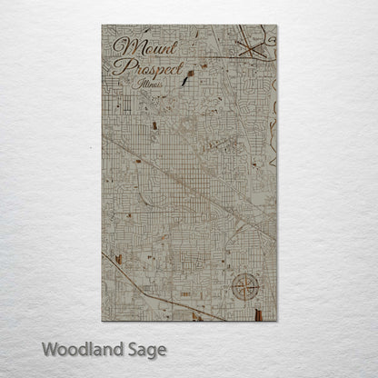 Mount Prospect, Illinois Street Map